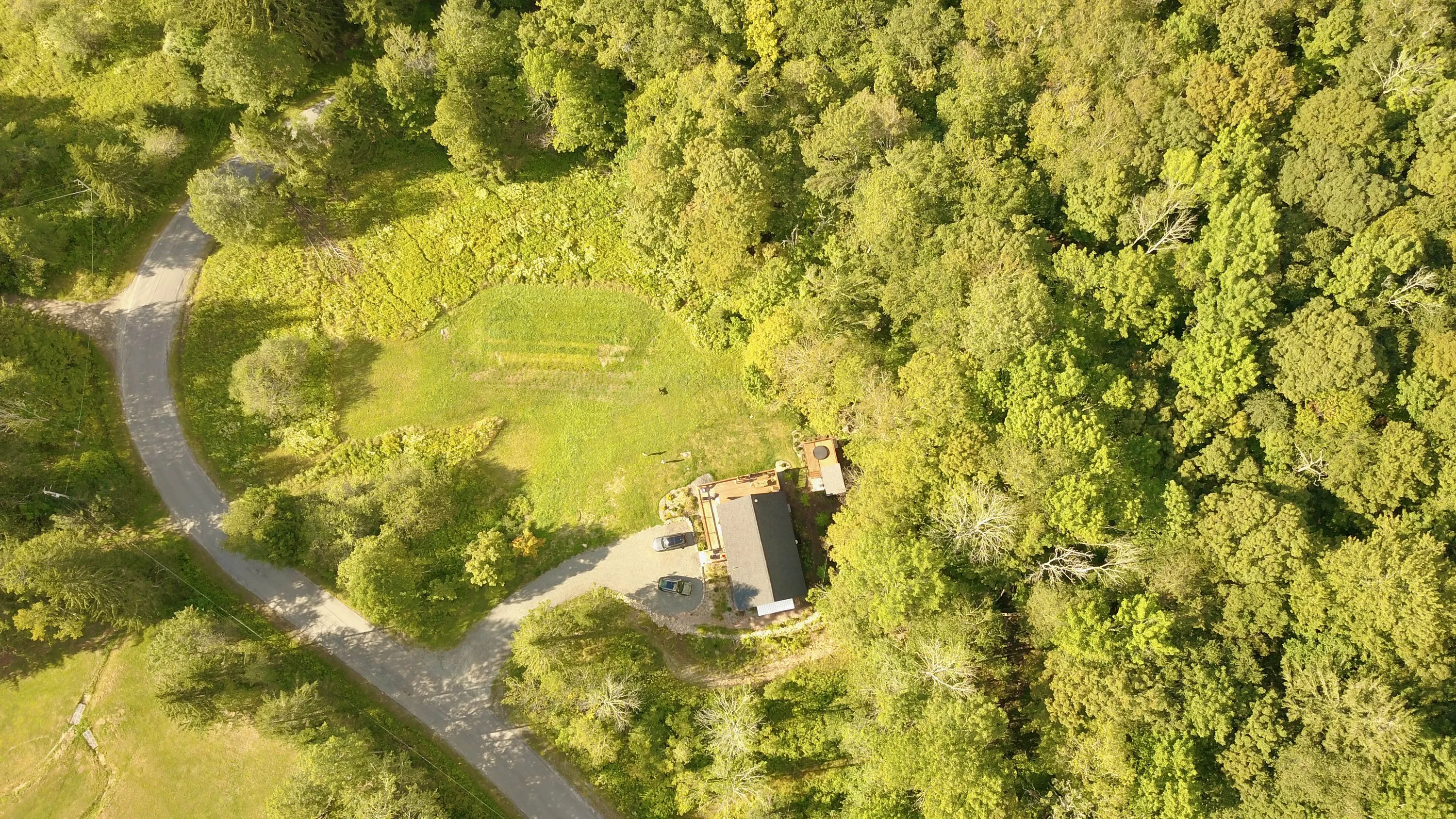 Evergreen Overlook and its meadow from the air, ringed by nine wooded acres