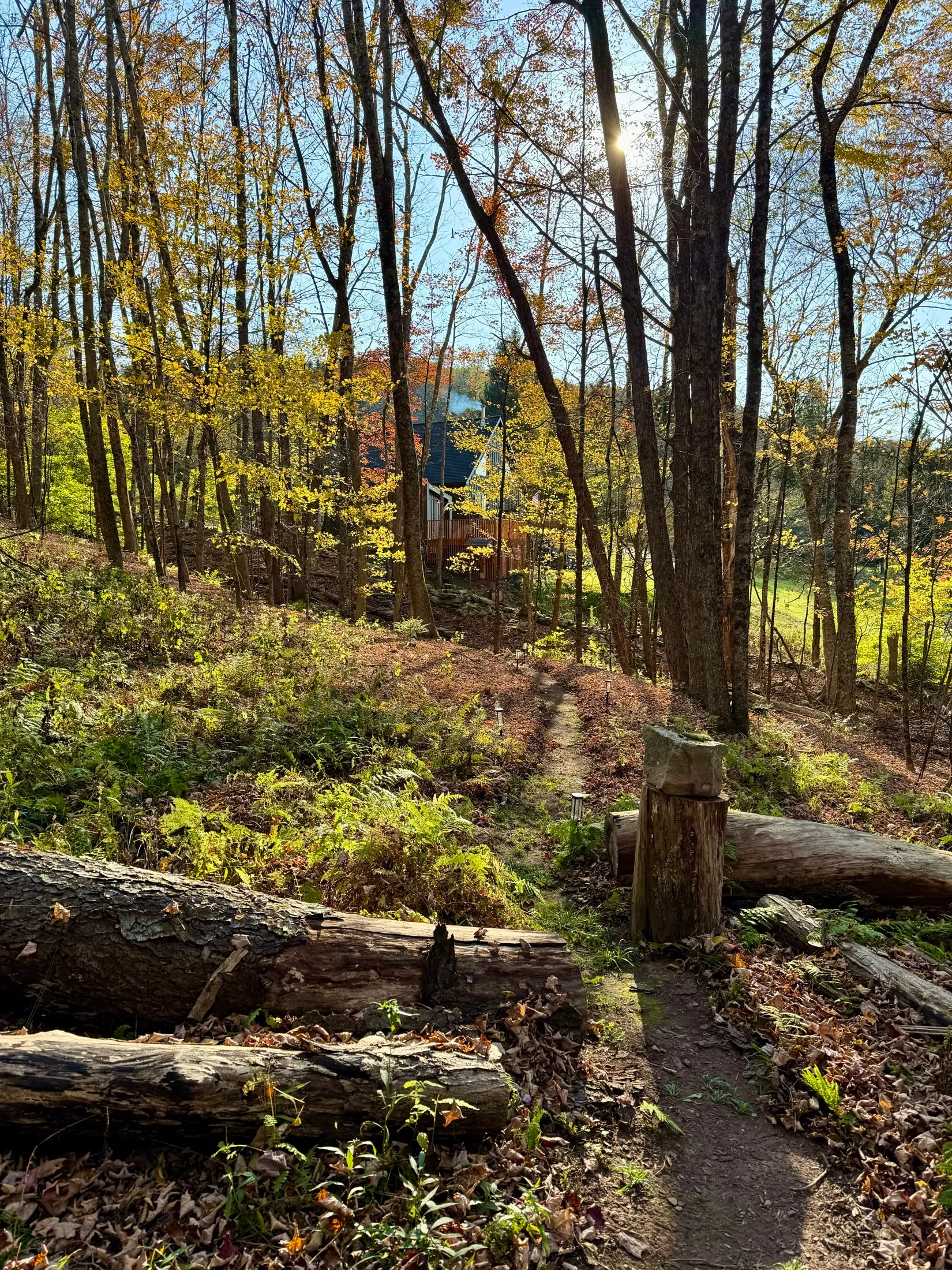 Evergreen Overlook