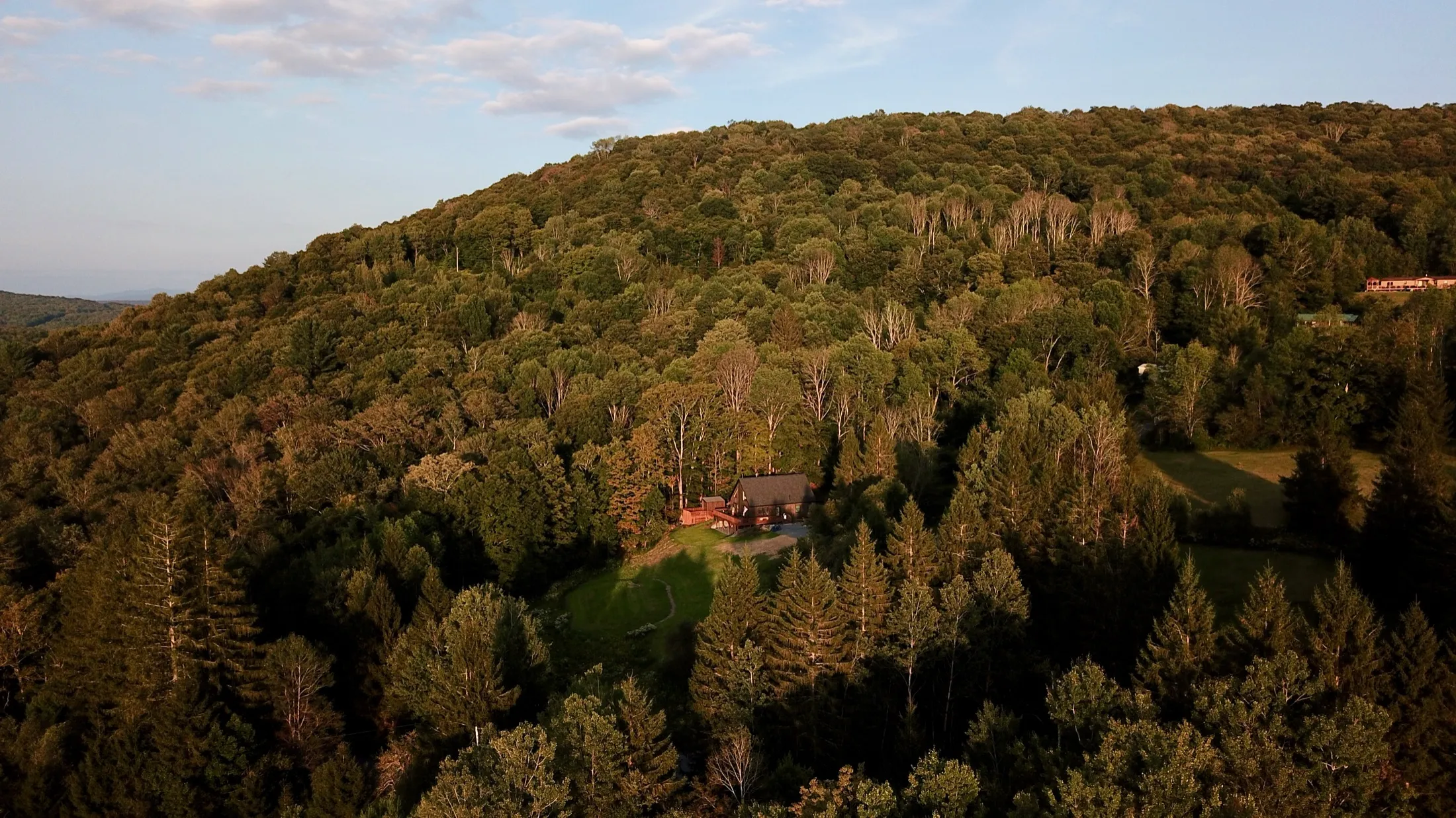 Evergreen Overlook