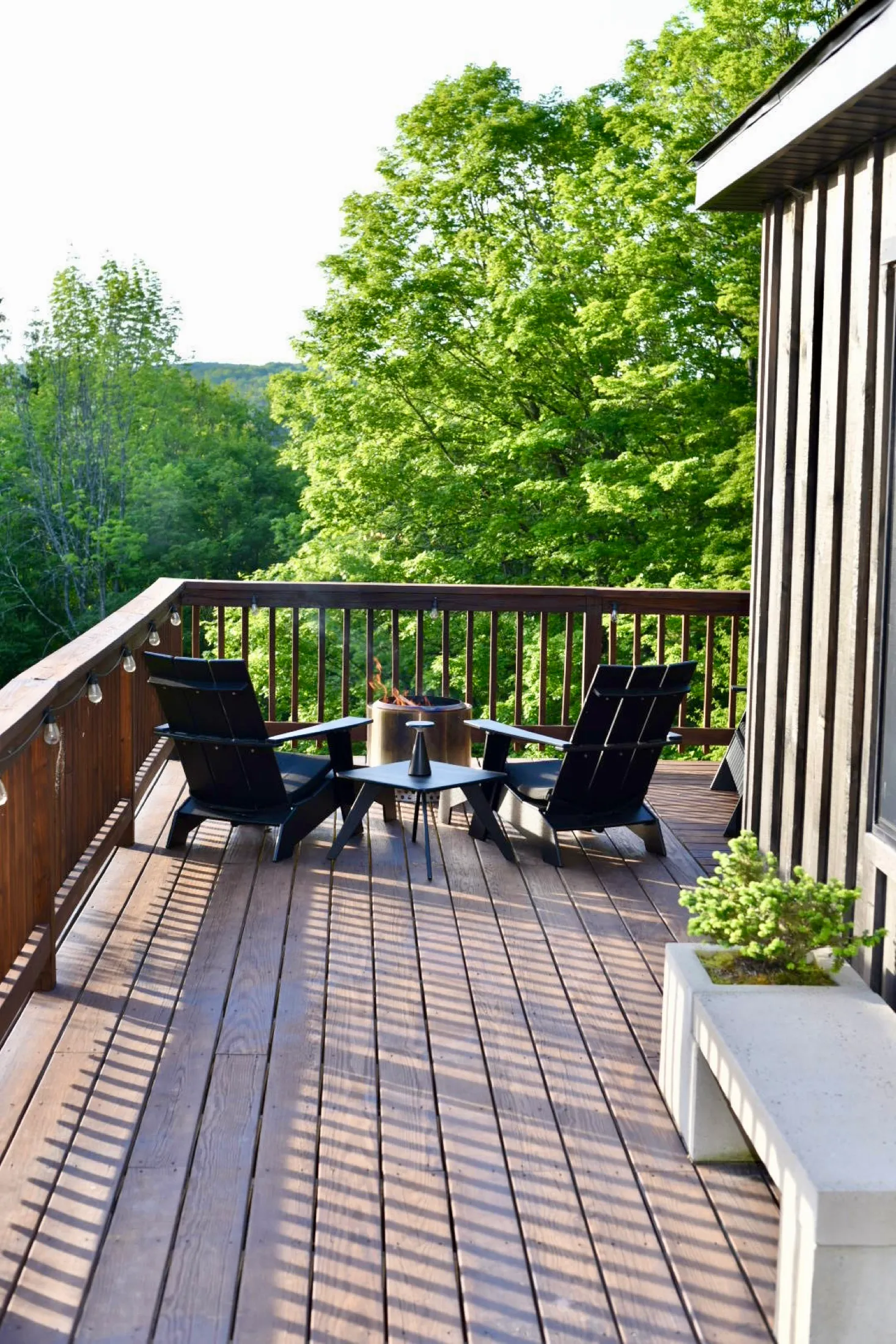 Evergreen Overlook