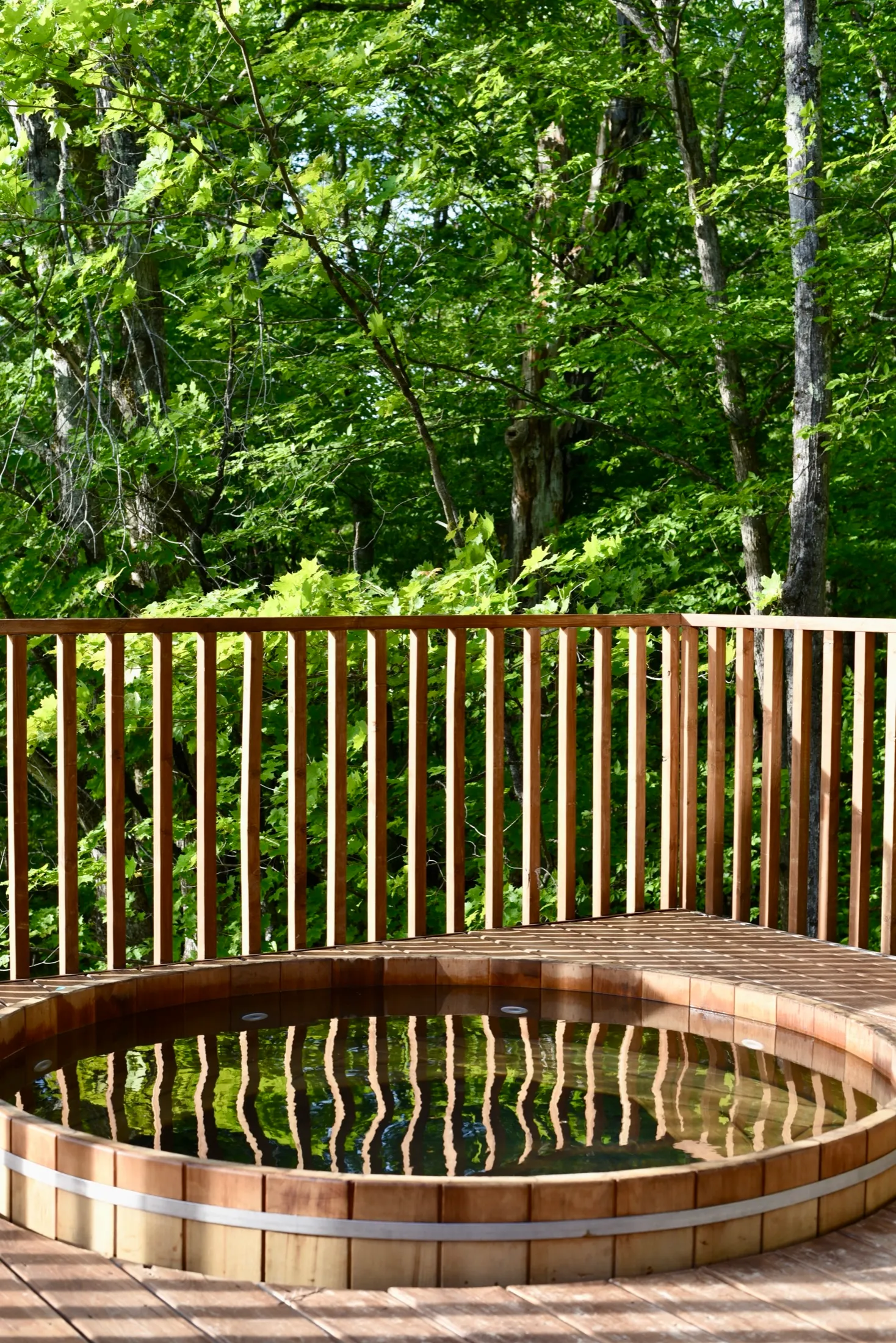 Evergreen Overlook