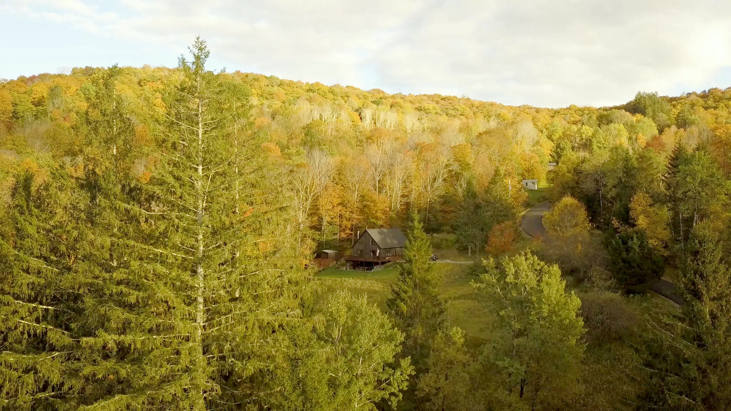 Aerial of Evergreen Overlook in October — the A-frame cabin in its meadow, ringed by spruce and a hillside of fall foliage